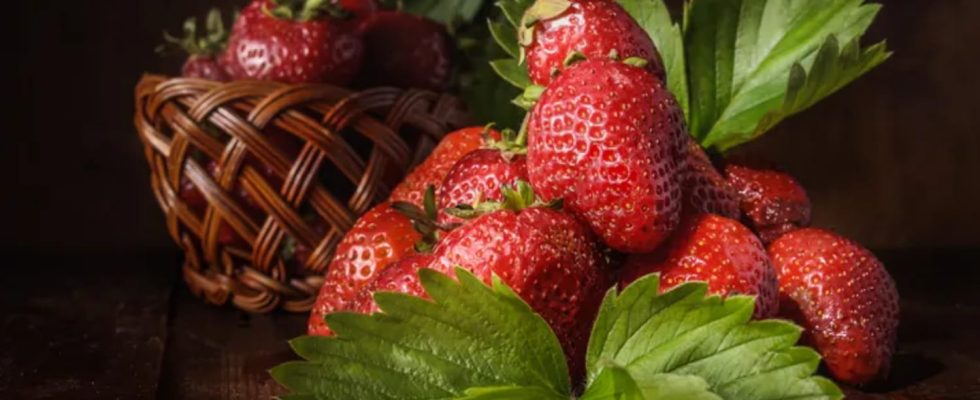 Have you ever seen the surface of a strawberry under