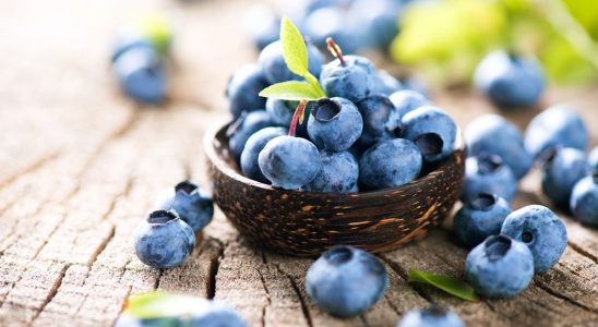 Health adding a handful of blueberries to your diet would