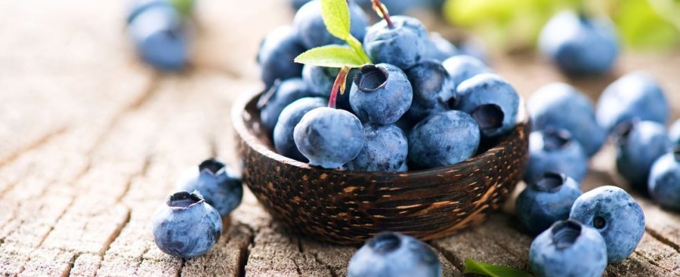 Health adding a handful of blueberries to your diet would