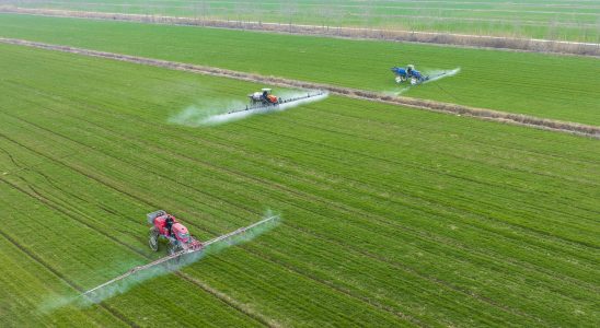 How banned pesticides end up on our plates an odious