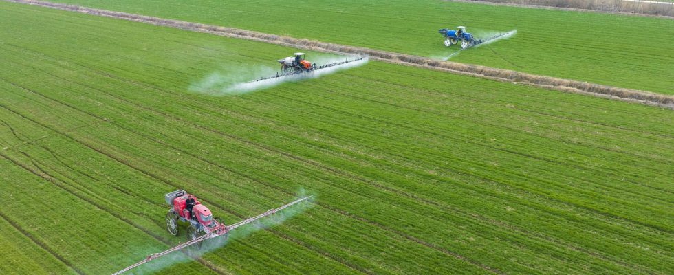 How banned pesticides end up on our plates an odious