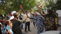 In Sudan the RSF forces announced a three day ceasefire