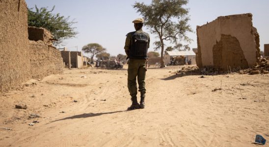 Insecurity in Burkina pushes two Nigerien bus companies to review