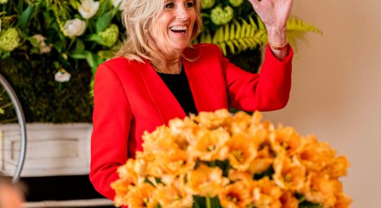 Jill Biden has received a tulip name