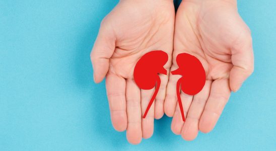 Kidney donation age limit compatibility tests to be done