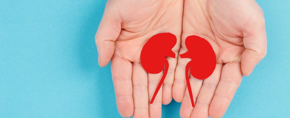 Kidney donation age limit compatibility tests to be done