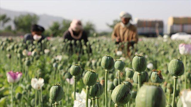 Meat ban from the Taliban What can be sold or