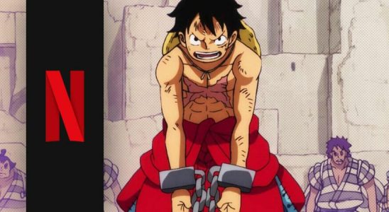 Netflixs One Piece series features 12 villains but