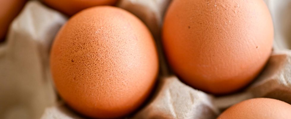 New salmonella alarm at a large egg producer