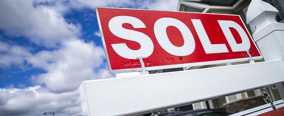 Number of local homes for sale increases average prices down