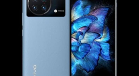 Official Images of Vivo X Flip Revealed