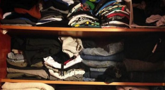 Only 10 find the hidden cat in the picture –