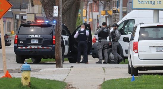 Pellet gun sparks Euphemia Street standoff court told