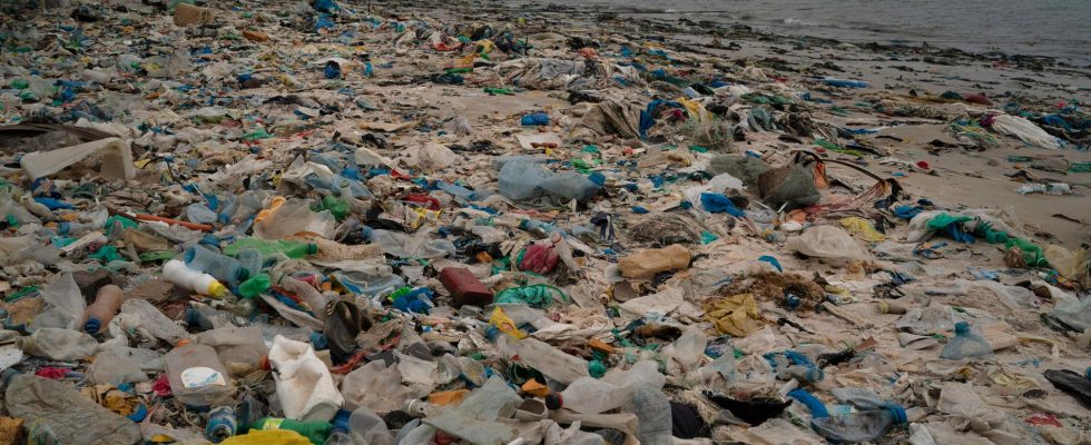 Plastic on the menu when environment ministers meet in Sweden