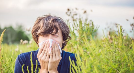 Pollens around sixty departments classified red on the map of