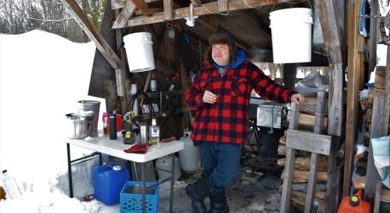 Producing your own maple syrup a spring tradition for Quebecers