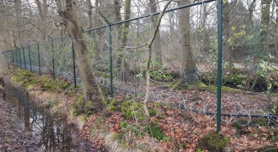 Razor wire at Landgoed Dennenburg infuriates local residents and council