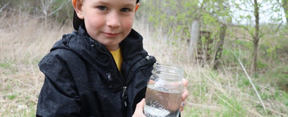 Salmon Squad Fish raising program connects area pupils with nature