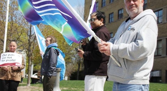 Sarnia hospital professionals rally against Bill 60