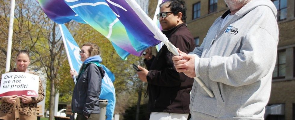 Sarnia hospital professionals rally against Bill 60