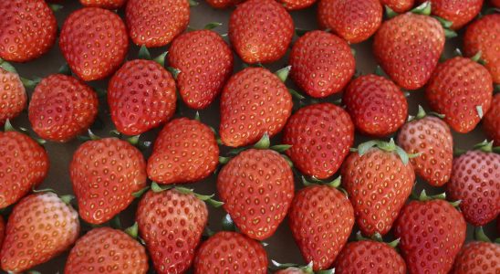 Strawberry superpowers for your body Surprise it has few calories