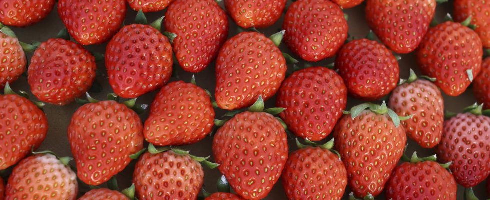 Strawberry superpowers for your body Surprise it has few calories