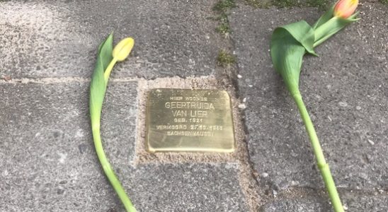 Stumbling stone for mother of Utrecht resistance heroine Truus van