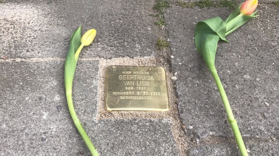 Stumbling stone for mother of Utrecht resistance heroine Truus van