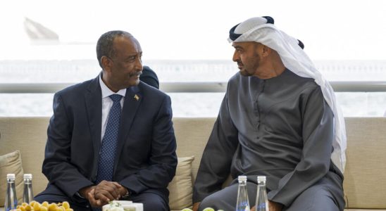 Sudan How the interests of Cairo Abu Dhabi and Riyadh