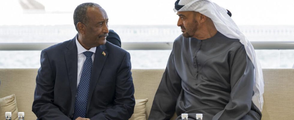 Sudan How the interests of Cairo Abu Dhabi and Riyadh