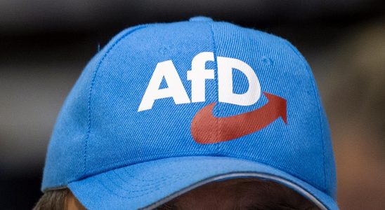 The AFDs youth association is labeled an extremist