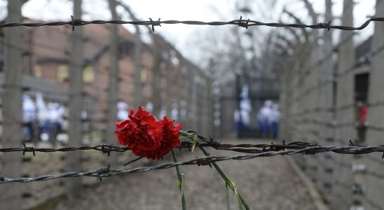 The Conference immersed in the development of the final solution