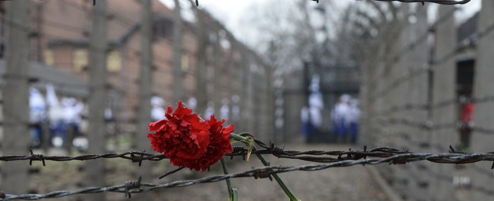 The Conference immersed in the development of the final solution