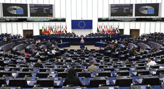 The European Parliament denounces in a resolution the law against