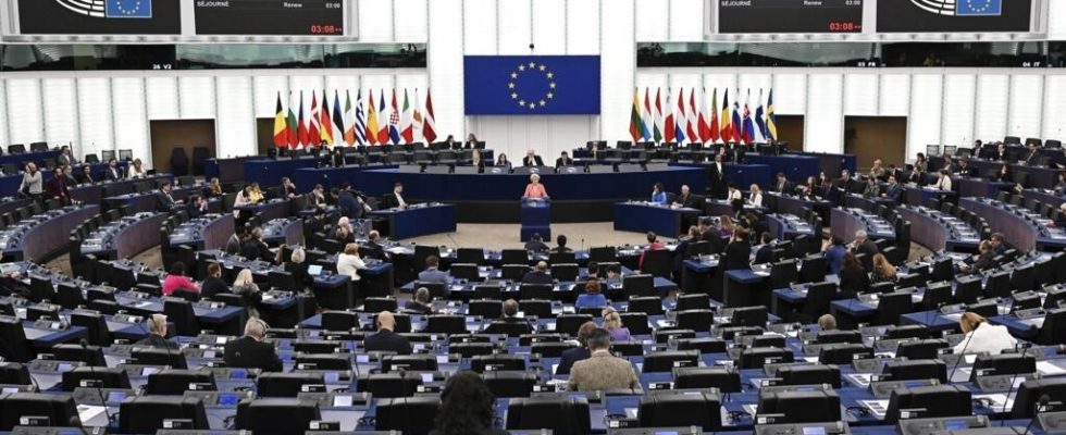 The European Parliament denounces in a resolution the law against