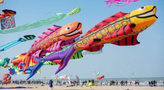 The Kite and Wind Festival in Chatelaillon Plage