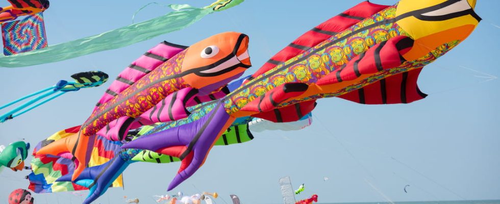 The Kite and Wind Festival in Chatelaillon Plage