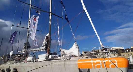 The schooner Tara leaves to explore the impact of pollution