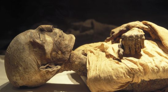 These ancient Mexican mummies could infect humans