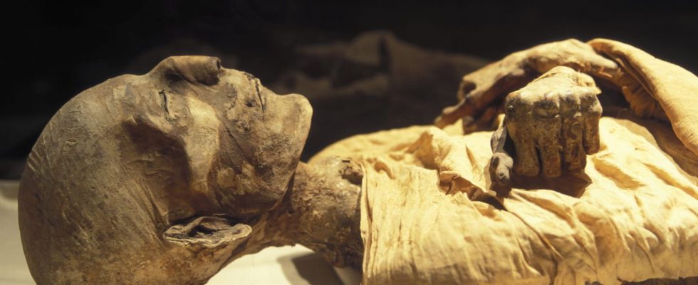 These ancient Mexican mummies could infect humans