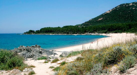 These seaside destinations are the most welcoming in France according