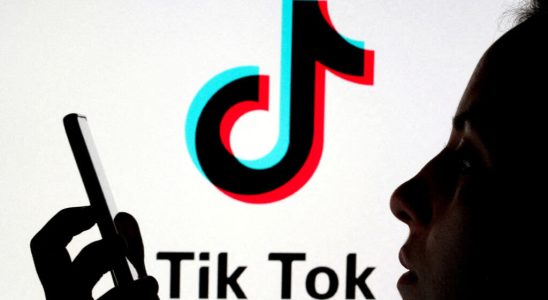 TikTok sentenced to more than 14 million euros in fines