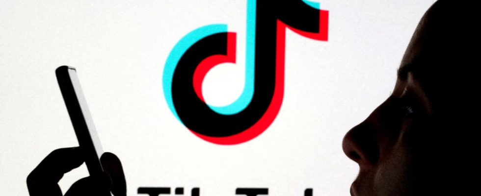 TikTok sentenced to more than 14 million euros in fines