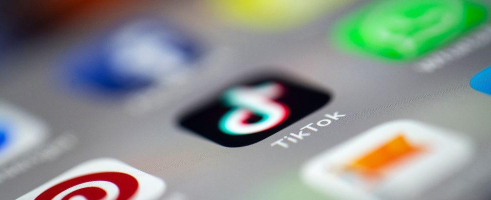 Twitter TikTok Amazon… Why the EU is placing 19 platforms