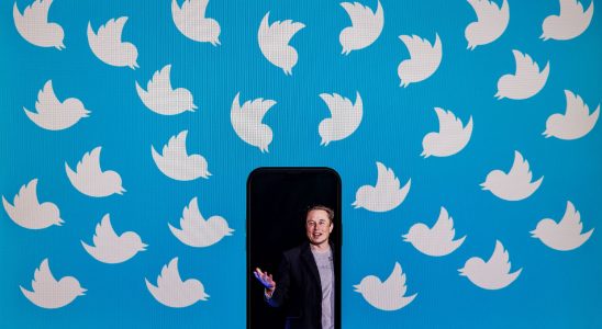 Twitter what we know about Musks artificial intelligence project