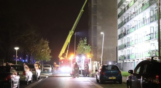 Two cats rescued from burning flat in Vianen residents unharmed