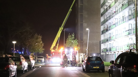 Two cats rescued from burning flat in Vianen residents unharmed