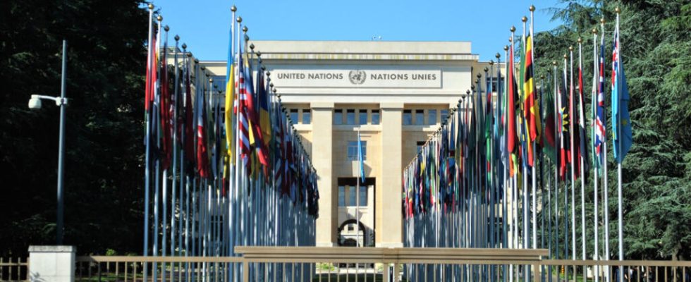 UN committee denounces anti Ukrainian racism in Russia