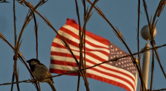 US sends Guantanamo detainee to Algeria