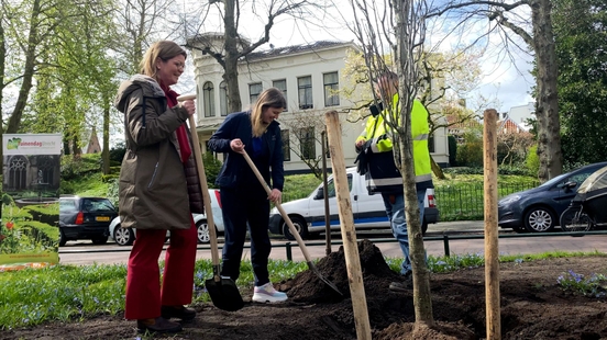 Utrecht plants a tree to draw attention to green in